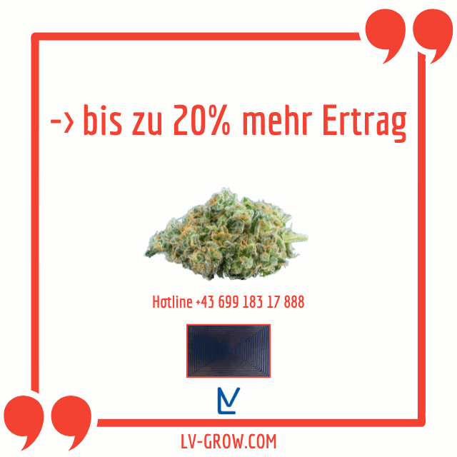 LV-Grow 2023